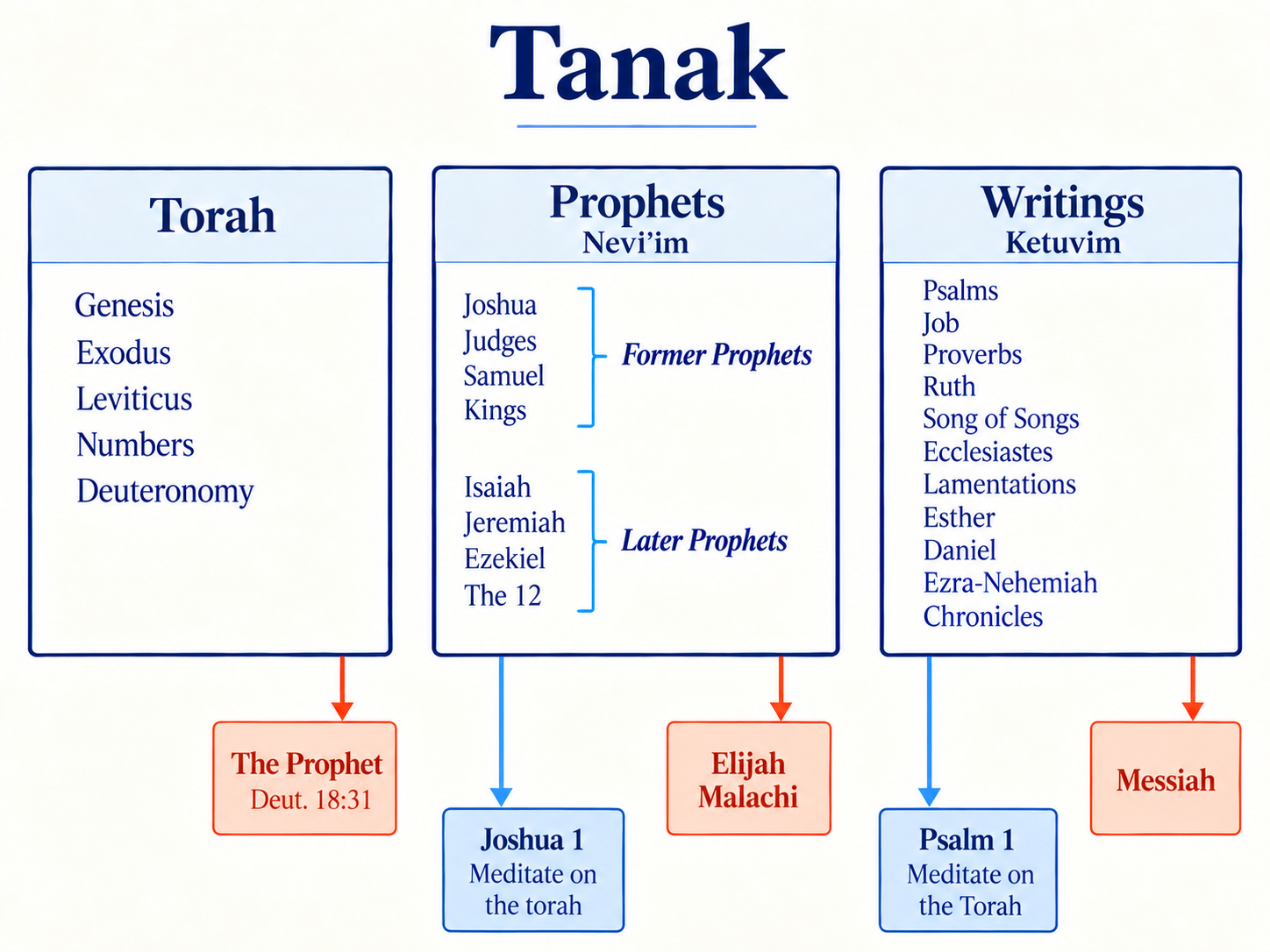 Tanakh infographic showing Torah, Prophets (Nevi’im), and Writings (Ketuvim), including the Former and Later Prophets and the forward-looking canonical connections.